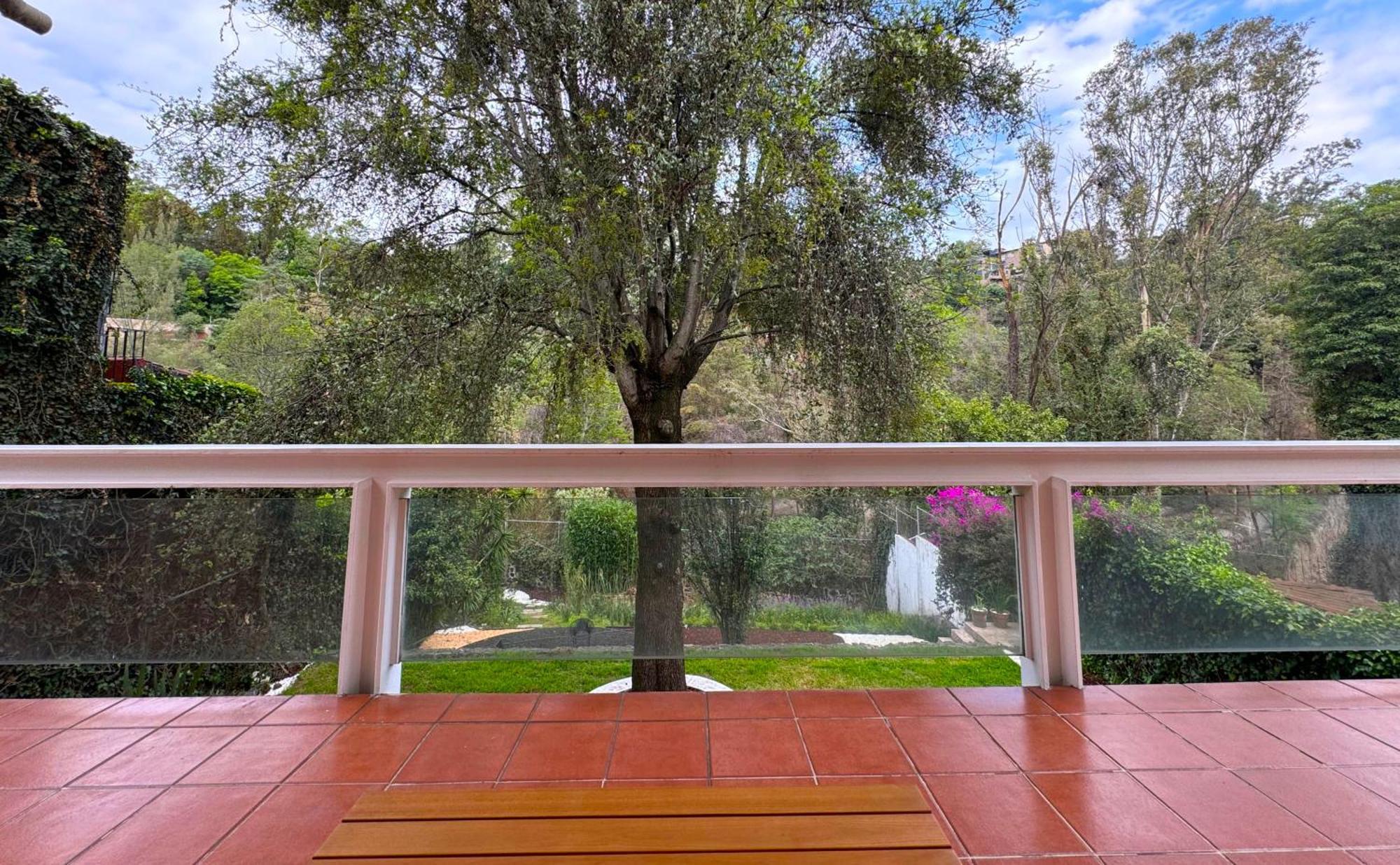 Group In Fun Yard 15 Min From Polanco! * Mexico City